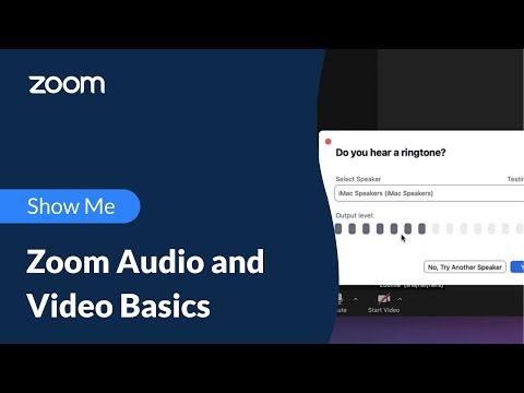 Zoom Audio and Video Basics