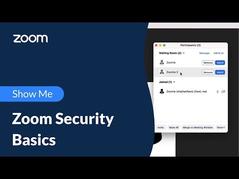 Zoom Security Basics