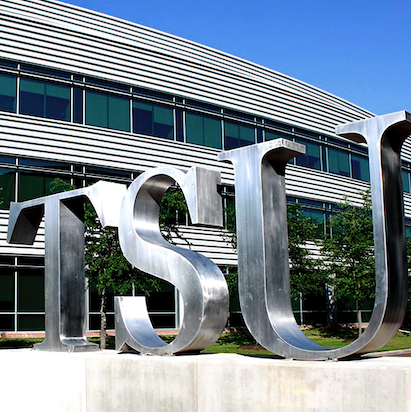 TSU silver logo