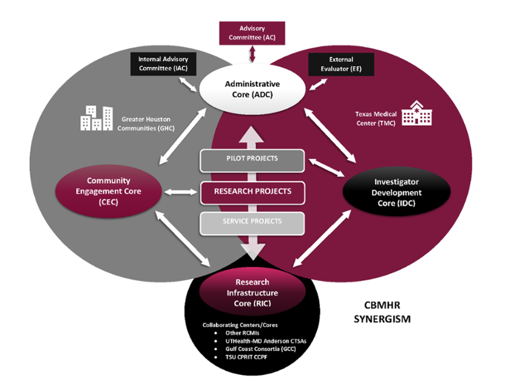 CBMHR Synergism Diagram