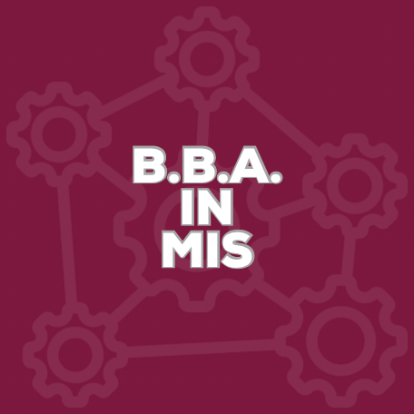 bba mis