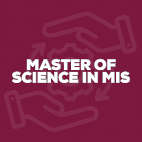 master mis