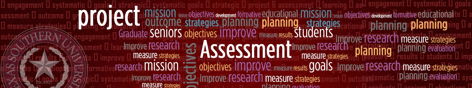 project assessment banner