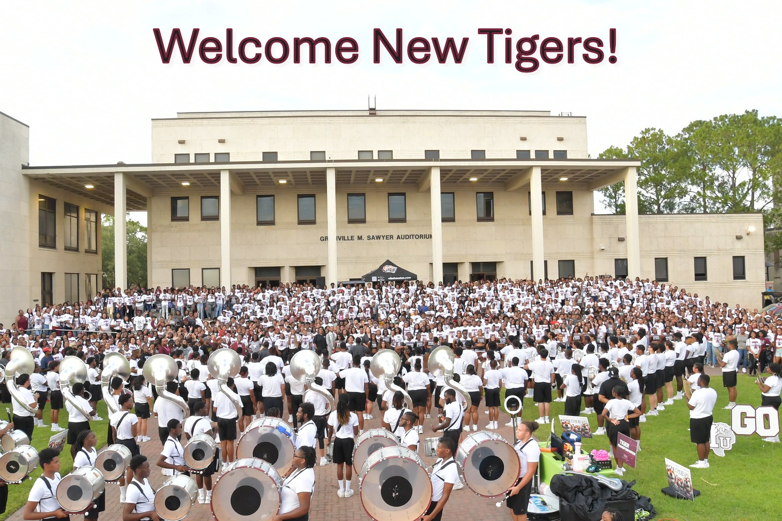 welcome tigers