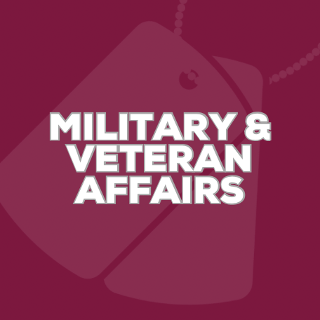 Military & Veteran Affairs Icon